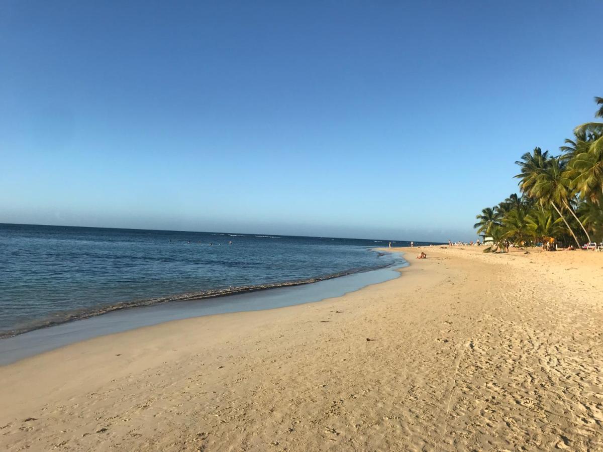 La Cortesana In Las Terrenas Exterior foto