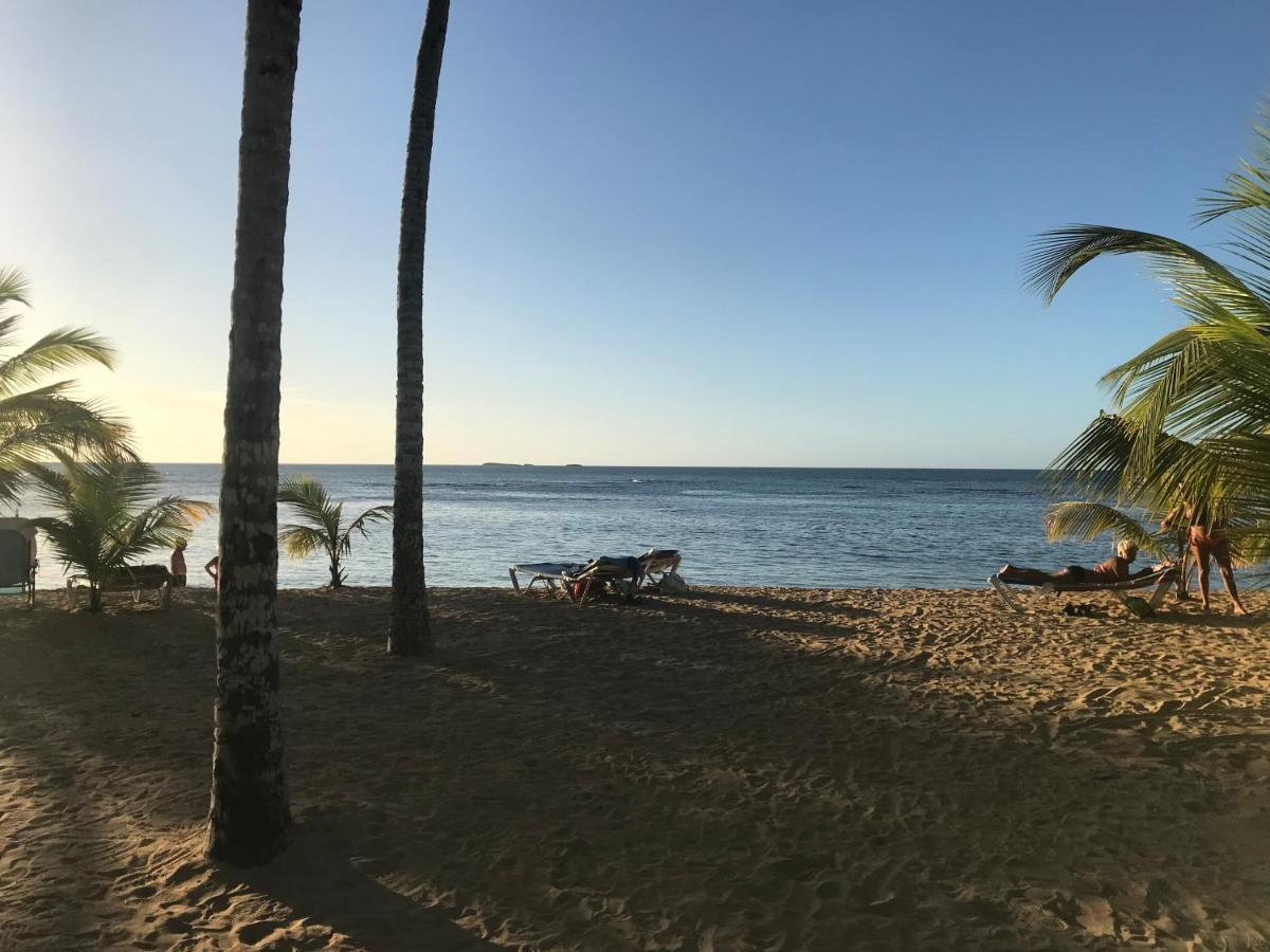 Cozy Oceanfront Villa With Direct Beach Access Las Terrenas Exterior foto