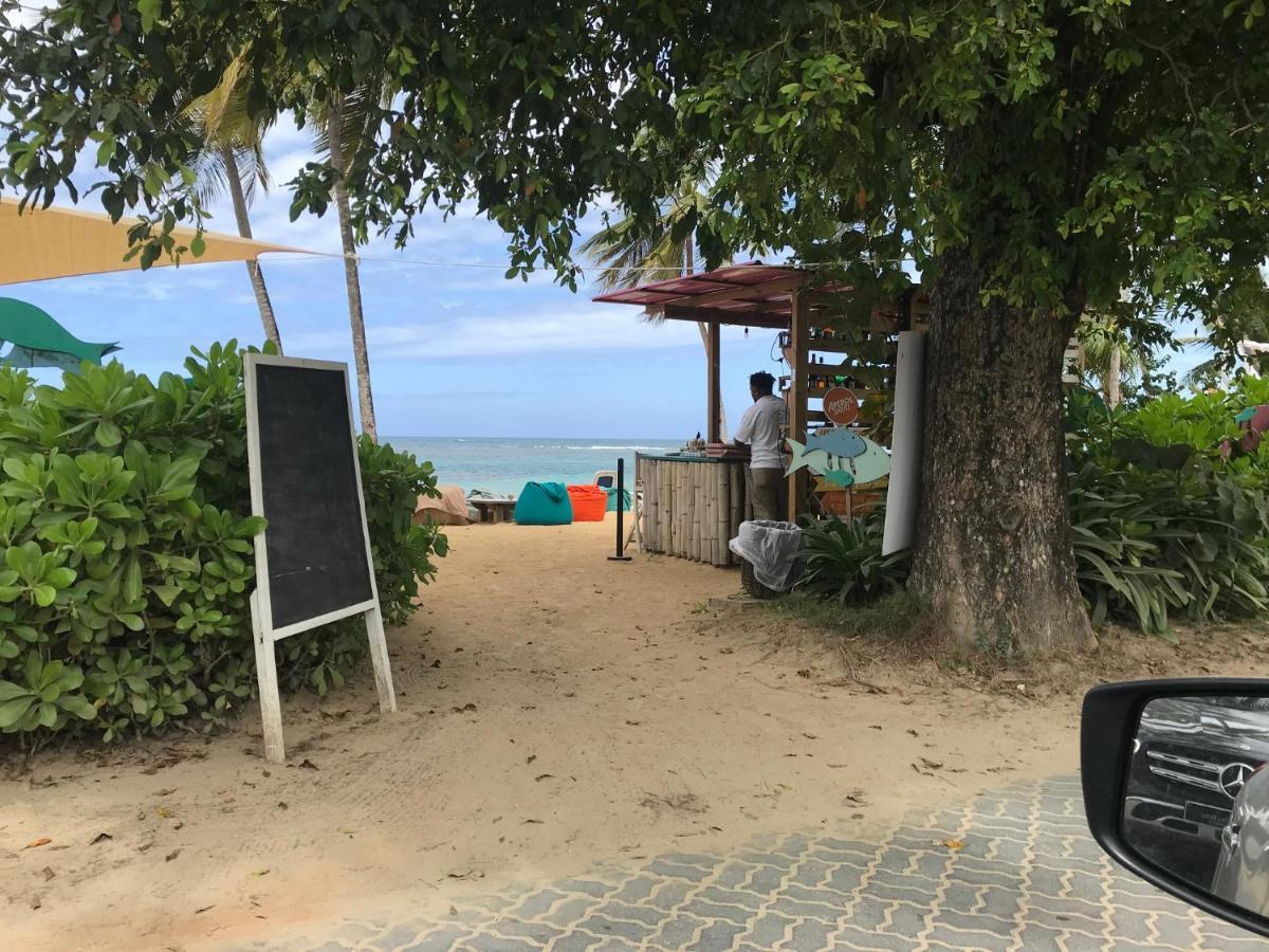 La Cortesana In Las Terrenas Exterior foto